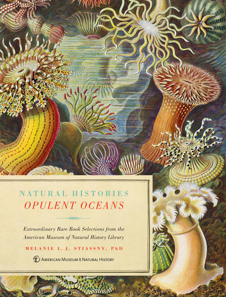 opulent-oceans_imagelarge
