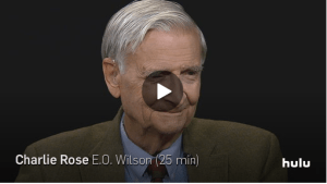 Screen Shot 2014-11-11 at 4.41.14 PM