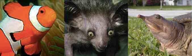 Screen Shot 2014-11-21 at 5.53.37 PM