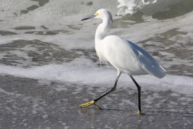 Photo credit: Stephen Crafts