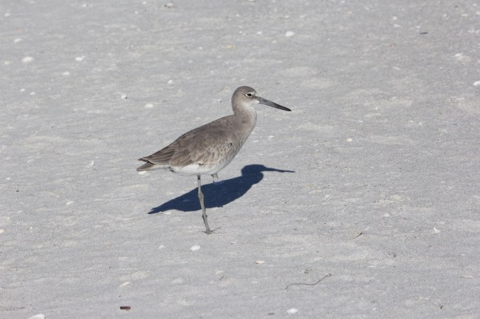 photo credit: Stephen Crafts