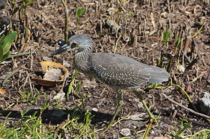 photo credit: Stephen Crafts