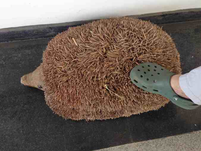 Hedgehog Boot Brush
