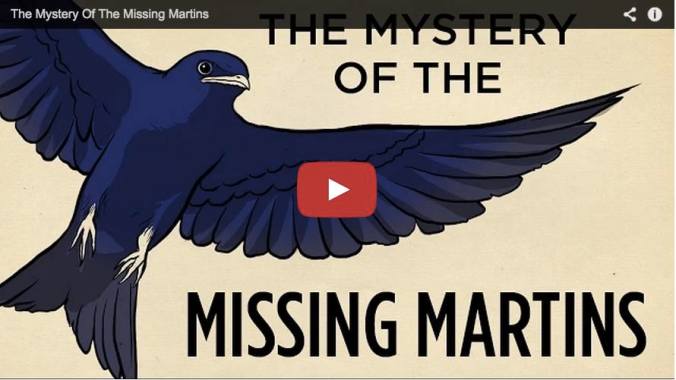 Screen Shot 2014-12-05 at 5.11.25 AM