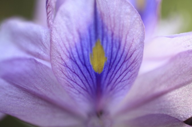 shutterstock_192530375-copy