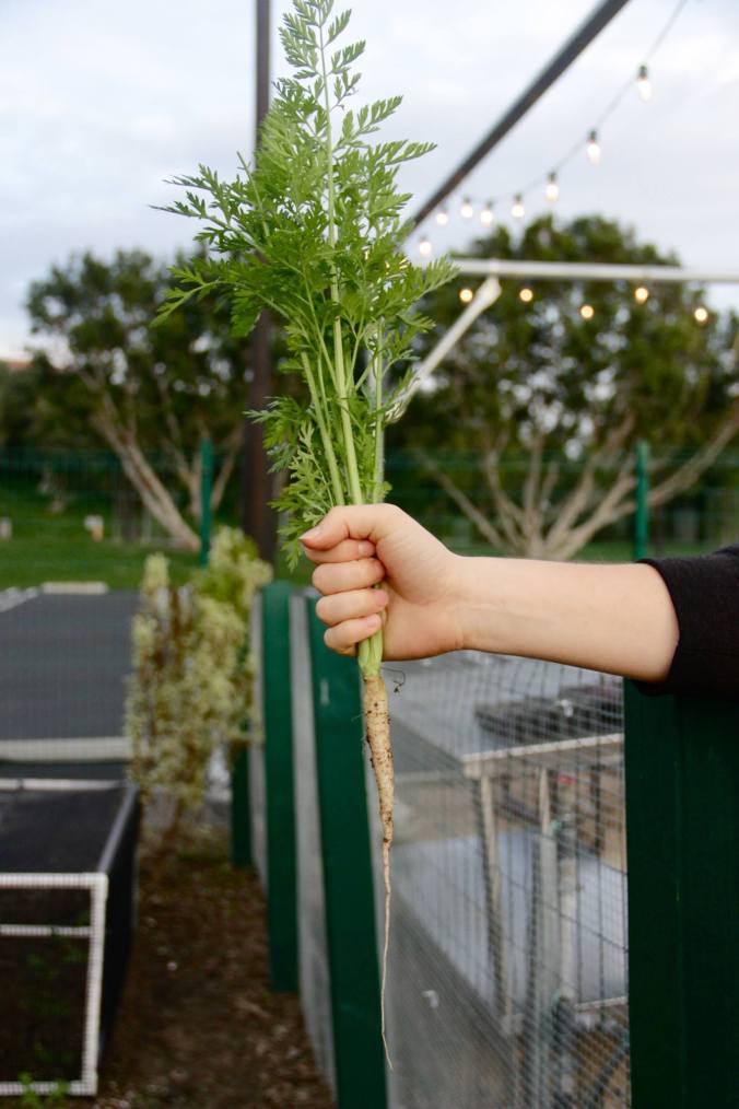 Soka Instructional Garden, photo courtesy of Nina Boutin