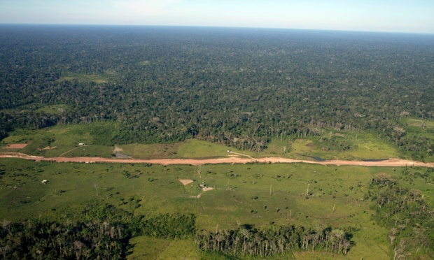  A newly constructed road goes through the Amazon rainforest outside Rio Branco, the capital of Acre province, Brazil. For every 40 meters or road created, around 600 sq km of forest is lost. Photograph: Per-Anders Pettersson/Corbis