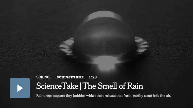 Screen Shot 2015-01-28 at 3.32.39 AM