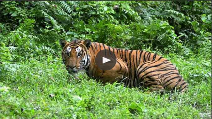 Screen Shot 2015-02-03 at 2.57.04 AM