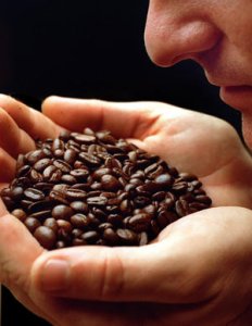 wake-up-and-smell-the-coffee