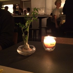 goldfield-wasted-2-690