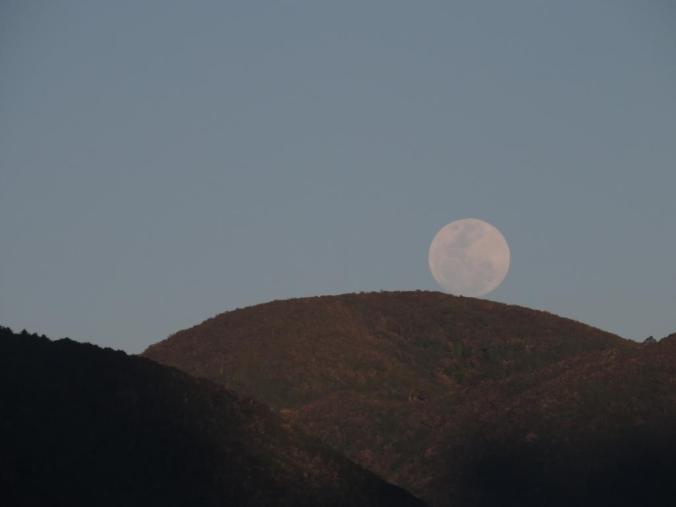 IMG_2883_zpsz0gk90q9