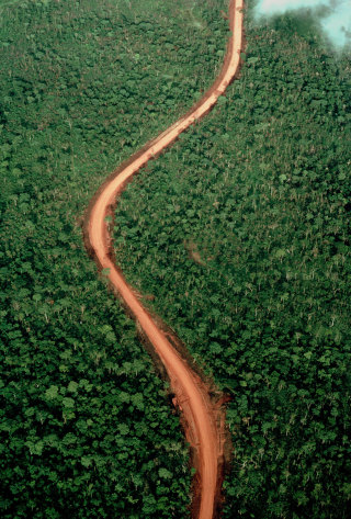 Nijhuis-Habitat-Fragmentation-320