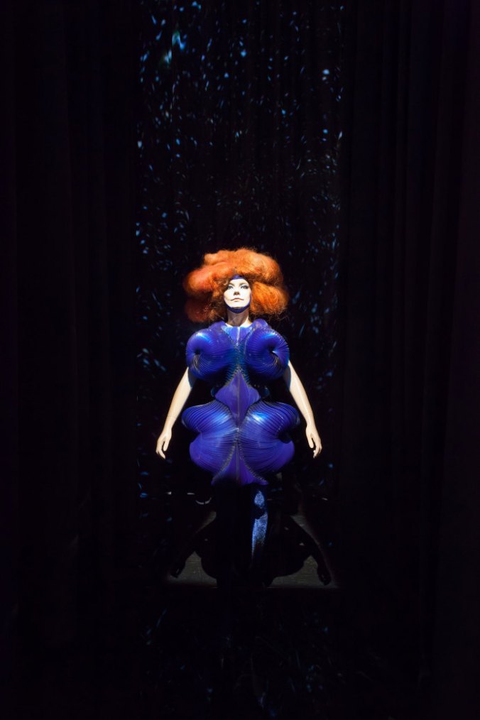 Schjeldahl-Bjork-690