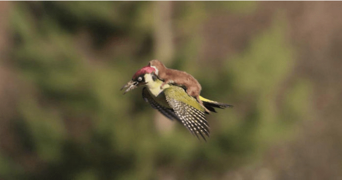 Photograph: Martin Le-May Twitter; 