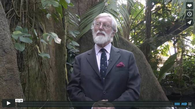 Screen Shot 2015-03-28 at 7.05.16 AM