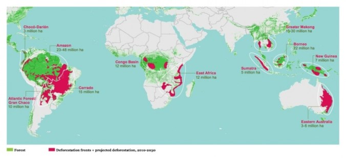 Deforestation hotspots around the world, 2010-2030 Photograph: WWF