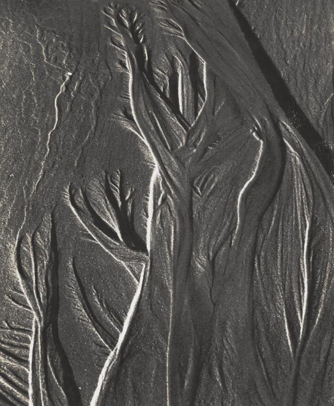 Sonya Noskowiak, Sand Pattern, 1932. (Courtesy Center for Creative Photography)