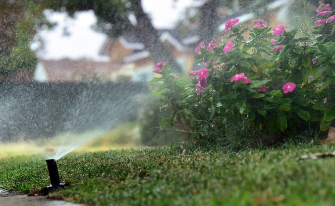 The California drought has prompted Governor Jerry Brown to mandate a twenty-five-per-cent reduction in the state’s water usage. CREDIT PHOTOGRAPH BY FREDERIC J. BROWN / AFP / GETTY