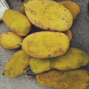 Jackfruit is the largest tree-borne fruit and is found across Asia, Africa, and parts of North and South America 