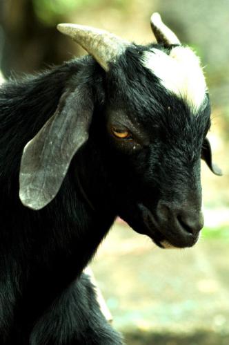 313012_10150437279494853_277712546_n