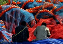 575089_10150918571289853_1457265890_n