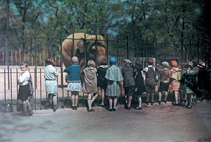 An autochrome photo of a group of children at National Zoo. PHOTO:  Jacob J. Gayer/National Geographic Creative/Corbis