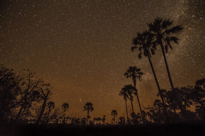 The Okavango Delta is home to the largest-remaining elephant population and keystone populations of lion, hyena, giraffe and lechwe antelopes. It’s the size of Texas, and visible from space. PHOTO: James Kydd