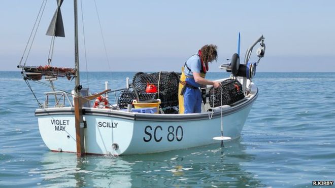 Fishermen in South Devon, UK, have turned their boats into "massive data platforms" for a citizen science study.