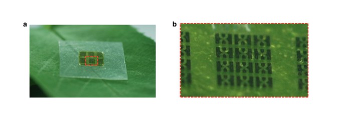 This wooden computer chip could make recycling electronics a lot easier as it replaces most of the silicon with biodegradable cellulose. PHOTO: Co Exist