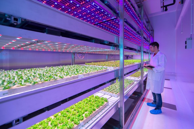 In this huge urban farming lab, LED "Recipes" grow juicier tomatoes and sweeter basil. PHOTO: Co Exist