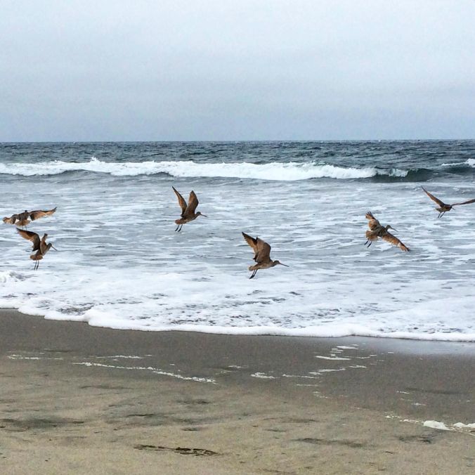 photo credit: Laura Stepping 