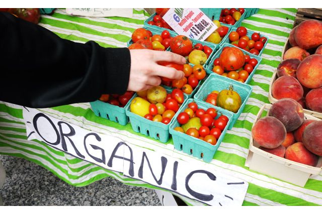 HowGood, an independent research organization based in New York City, may have answers for the food industry’s many scales of sustainability. PHOTO: ucla.edu