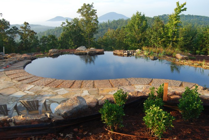 A natural pool set up by Total Habitat