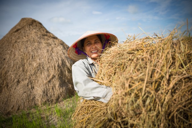 Social entrepreneur Trang Tran is teaching Vietnamese farmers how to use rice straw as a substrate to grow gourmet mushrooms, helping to reduce greenhouse gas emissions and give farmers a new source of income. PHOTO: Medium