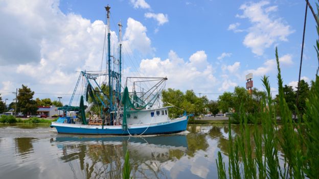 A shrimp boat heading out to fish on Bayou Lafourche. PHOTO: BBC