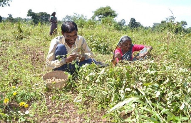 39-year-old Mahadev Charokar is vision impaired but has got amazing hearing, olfactory and tactical senses. He can differentiate between various denominations of currency notes, can walk up to his farms 1.5 km away and even lead a bullock-driven plough on fields. PHOTO: The Alternative