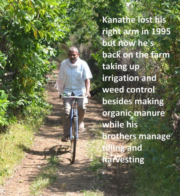 PHOTO: The Alternative