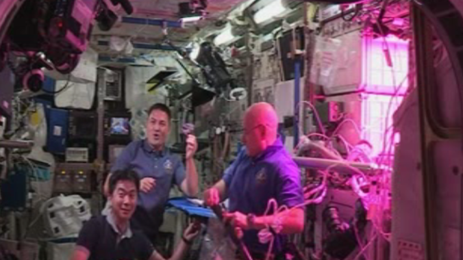 On Monday, astronauts aboard the International Space Station harvested and ate the first lettuce to have been grown in space. Photo by NASA