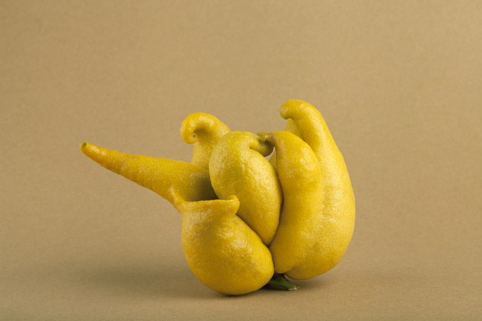 "Cosmetically challenged" farm produce make for tons of  food waste globally. PHOTO:  JCPestano/Shutterstock)