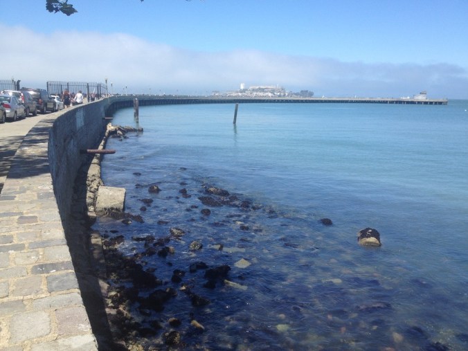 In order to build a new, swimmer-friendly waterfront on the bay, San Francisco looked to an unusual building supply they just happened to have lying around: Gold Rush era tombstones. PHOTO: Photo by Annetta Black/Atlas Obscura