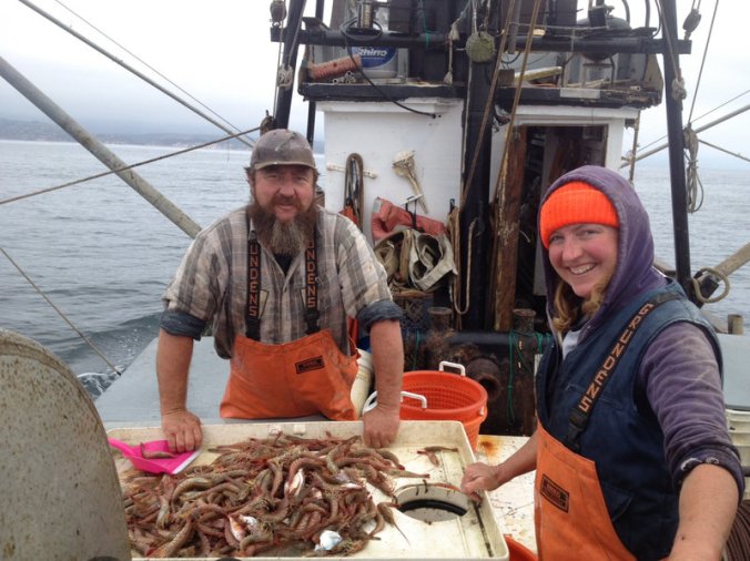 Sixteen Santa Barbara-based fishermen are participating in the Dock to Dish pilot program in California. Seen are Keith and Tiffani Andrews fishing for ridgeback shrimp on the fishing vessel Alamo. PHOTO:   Sarah Rathbone