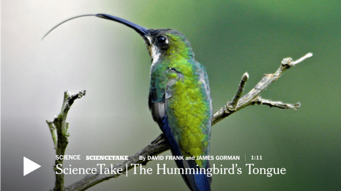 Screen Shot 2015-09-09 at 2.41.49 AM