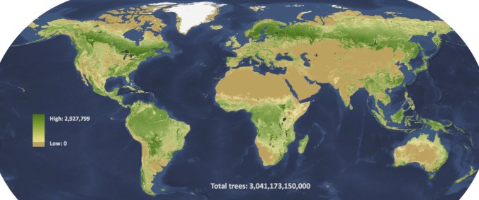Three trillion trees, mapped to the square kilometre.  Source: Crowther et al / Nature