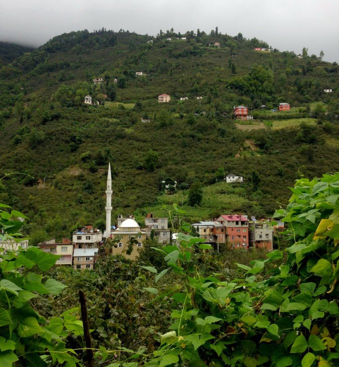 Steep hills surround the village of Kuskoy, high in the mountains above Turkey's Black Sea coast. Some villagers here can still understand the old "bird language," a form of whistled Turkish used to communicate across these deep valleys. Peter Kenyon/NPR