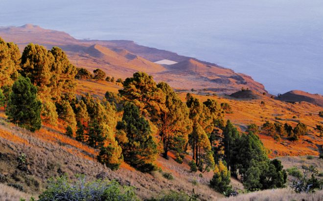 The smallest and most isolated of the Canary Islands, El Hierro, has a way of combining hydro and wind power that may allow it, one day, to get all its energy from renewable sources. PHOTO: BBC