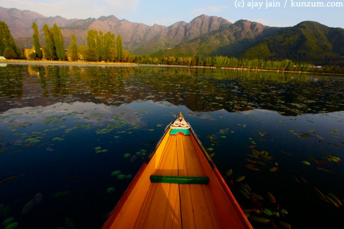 Half of the water bodies in and around Srinagar have disappeared over the last century under the pressure of rapid and badly managed urbanisation. PHOTO: 