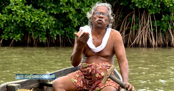 Pokkudan’s pursuit of mangrove conservation started back in the 80s when he started collecting mangrove seeds and planting them in the marshy lands of in Pazhayangadi. PHOTO: Mathrubhumi