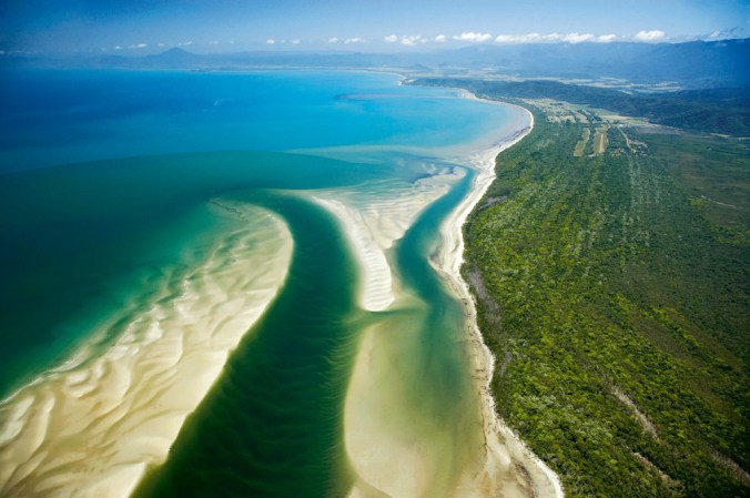 A variety of birds, frogs, and crocodiles can be spotted while cruising the mangrove-lined Daintree River. Photo: David Wall/Dinodia