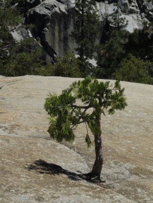 img_2807_zpspgvnjidd